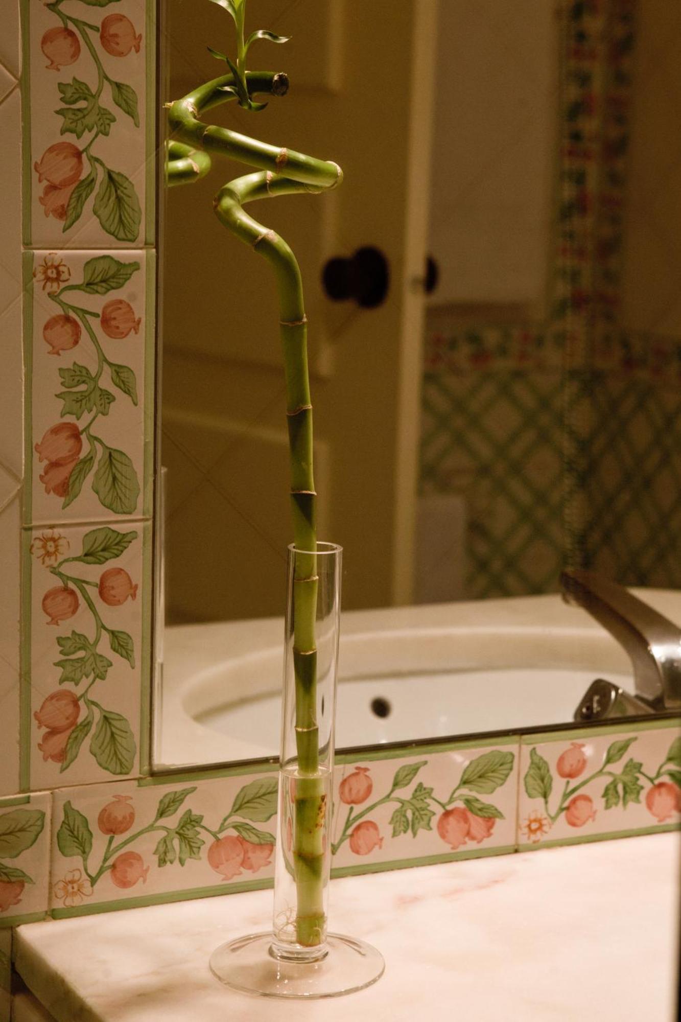 Sl Hotel Santa Luzia - Elvas Quarto foto
